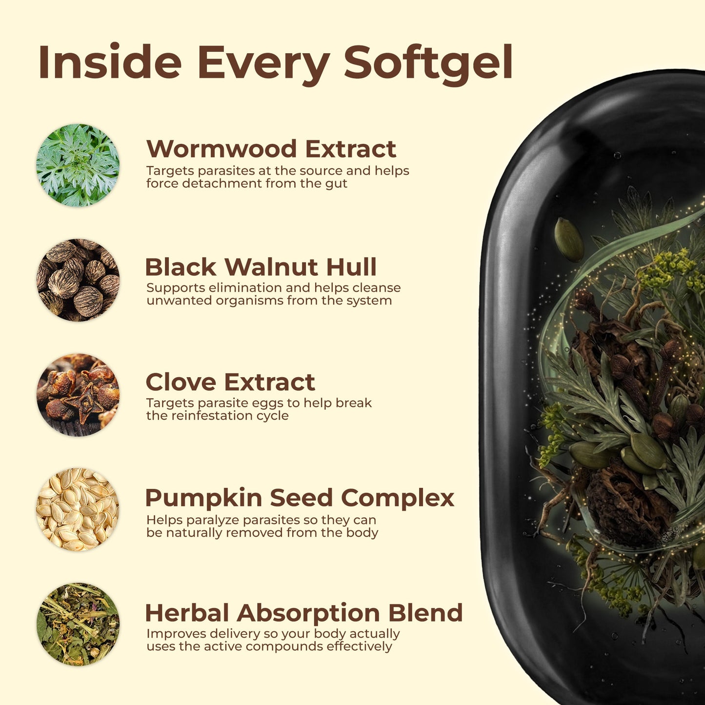 Wormwood Black Walnut Pumpkin Seed & Clove Softgels*